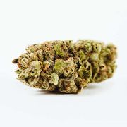 Flower 3.5g - Blowfish at Curaleaf AZ Camelback Flower 3.5g - Blowfish at Curaleaf AZ Camelback