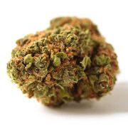 Flower 3.5g - Lions Milk at Curaleaf AZ Youngtown Flower 3.5g - Lions Milk at Curaleaf AZ Youngtown