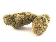 HMS Pineapple Kush 3.5g at Curaleaf Gaithersburg HMS Pineapple Kush 3.5g at Curaleaf Gaithersburg