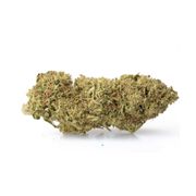FLOWER 1g - Lemon Kush (S) at Curaleaf AZ Bell FLOWER 1g - Lemon Kush (S) at Curaleaf AZ Bell