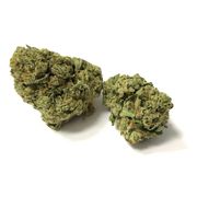 Flower 3.5g - French Toast at Curaleaf AZ Bell Flower 3.5g - French Toast at Curaleaf AZ Bell