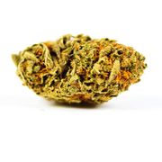Flower 3.5g - Cactus Breath at Curaleaf AZ Bell Flower 3.5g - Cactus Breath at Curaleaf AZ Bell