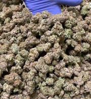 Cold Front | 3.5g at Curaleaf AZ Central Cold Front | 3.5g at Curaleaf AZ Central