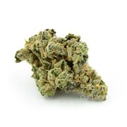 Headband | 3.5g at Curaleaf MA Oxford Headband | 3.5g at Curaleaf MA Oxford
