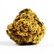 Vanilla Bean | 3.5g | Private Reserve at Curaleaf AZ Bell Vanilla Bean | 3.5g | Private Reserve at Curaleaf AZ Bell