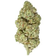 Flower 3.5g - 33 Splitter at Curaleaf AZ Camelback Flower 3.5g - 33 Splitter at Curaleaf AZ Camelback