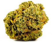 Flower 1g - The Vision at Curaleaf AZ Camelback Flower 1g - The Vision at Curaleaf AZ Camelback