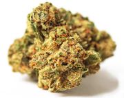 Granola Funk | 1g | Mid Tier at Curaleaf AZ Gilbert Granola Funk | 1g | Mid Tier at Curaleaf AZ Gilbert