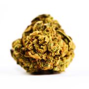 NECTAR FARMS |Vanilla Bean | 3.5g at Curaleaf AZ Camelback NECTAR FARMS |Vanilla Bean | 3.5g at Curaleaf AZ Camelback