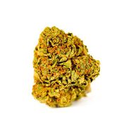 Gobstopper Kush | 3.5g at Curaleaf AZ Gilbert Gobstopper Kush | 3.5g at Curaleaf AZ Gilbert