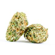 PR Ashy Larry | 3.5g at Curaleaf AZ Youngtown PR Ashy Larry | 3.5g at Curaleaf AZ Youngtown