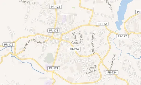 map of 146 Calle Jose De Diego Cidra, PR 00739