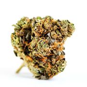 Flower 3.5g - Animal Mints at Curaleaf AZ Youngtown Flower 3.5g - Animal Mints at Curaleaf AZ Youngtown