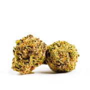 Garanimals | 1g | Top Shelf at Curaleaf AZ Bell Garanimals | 1g | Top Shelf at Curaleaf AZ Bell