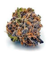 HMS Miracle Alien Cookies #8 3.5g at Curaleaf Gaithersburg HMS Miracle Alien Cookies #8 3.5g at Curaleaf Gaithersburg