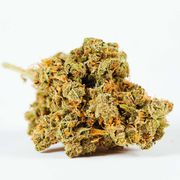 Flower 3.5g - Super Silver Haze at Curaleaf AZ Youngtown Flower 3.5g - Super Silver Haze at Curaleaf AZ Youngtown