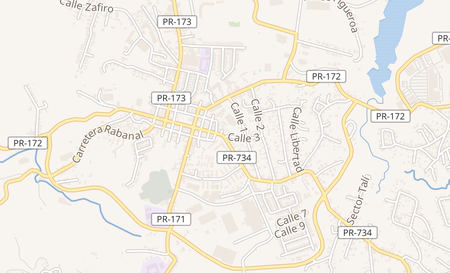 map of 146 Calle Jose De Diego Cidra, PR 00739