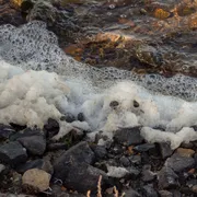 Toxic Foam on Lakes and Rivers + PFAS