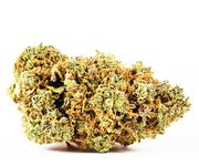 IT9--FLOWER--(I/D) Watermelon Zum Zum----T--3.5g at Curaleaf AZ Gilbert IT9--FLOWER--(I/D) Watermelon Zum Zum----T--3.5g at Curaleaf AZ Gilbert