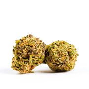 Flower 3.5g - Garanimals at Curaleaf AZ Midtown Flower 3.5g - Garanimals at Curaleaf AZ Midtown
