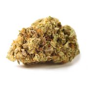 Flower 1g - Cannatsu at Curaleaf AZ Gilbert Flower 1g - Cannatsu at Curaleaf AZ Gilbert