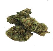 Brenda's Gift 8ths at Curaleaf Takoma Brenda's Gift 8ths at Curaleaf Takoma