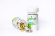 Ground Flower Pod Refills Sativa 20:1 - 700mg at Curaleaf Plattsburgh - Curbside Pick-up Only Ground Flower Pod Refills Sativa 20:1 - 700mg at Curaleaf Plattsburgh - Curbside Pick-up Only