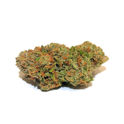 HMS Northern Lights 3.5g at Curaleaf Reisterstown HMS Northern Lights 3.5g at Curaleaf Reisterstown