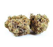 Durban Poison | 3.5g | Private Reserve at Curaleaf AZ Bell Durban Poison | 3.5g | Private Reserve at Curaleaf AZ Bell
