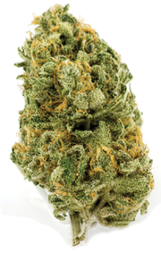 Blue Dream | 1g at Curaleaf AZ Youngtown Blue Dream | 1g at Curaleaf AZ Youngtown