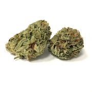 Bubba Katsu | 3.5g | Top Shelf at Curaleaf AZ Midtown Bubba Katsu | 3.5g | Top Shelf at Curaleaf AZ Midtown