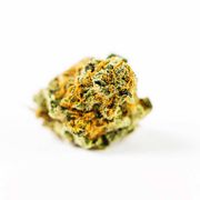 Cherry Pie | 1g at Curaleaf AZ Central Cherry Pie | 1g at Curaleaf AZ Central