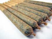Value Animal Cookies 7g I/H at Curaleaf Maine Value Animal Cookies 7g I/H at Curaleaf Maine