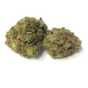 Flower 14g - Blackwater OG at Curaleaf AZ Youngtown Flower 14g - Blackwater OG at Curaleaf AZ Youngtown