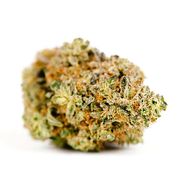 Chewbacca | 3.5g | Top Shelf at Curaleaf AZ Camelback Chewbacca | 3.5g | Top Shelf at Curaleaf AZ Camelback