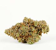 Flower 3.5g - Pineapple Crush at Curaleaf AZ Bell Flower 3.5g - Pineapple Crush at Curaleaf AZ Bell
