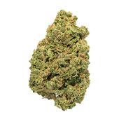Durban Poison | 14g at Curaleaf AZ Camelback Durban Poison | 14g at Curaleaf AZ Camelback