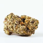Flower 1g - Hindu Kush at Curaleaf AZ Gilbert Flower 1g - Hindu Kush at Curaleaf AZ Gilbert