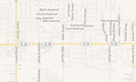 map of 37041 State Rd 54 Zephyrhills, FL 33542
