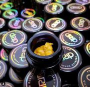 Batter - Presidential OG 1g - Gold at Curaleaf AZ Gilbert Batter - Presidential OG 1g - Gold at Curaleaf AZ Gilbert