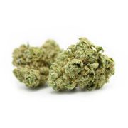 GG #4 | 3.5g at Curaleaf MA Oxford | Medical Use GG #4 | 3.5g at Curaleaf MA Oxford | Medical Use