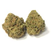 Flower 3.5g - SilverBack at Curaleaf AZ Bell Flower 3.5g - SilverBack at Curaleaf AZ Bell