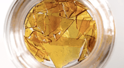 Shatter Hybrid 1g at Curaleaf Maine Shatter Hybrid 1g at Curaleaf Maine