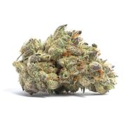 Flower 1g - Cookies and Cream at Curaleaf AZ Gilbert Flower 1g - Cookies and Cream at Curaleaf AZ Gilbert