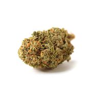Flower 3.5g - Franco's Lemon Cheese at Curaleaf AZ Bell Flower 3.5g - Franco's Lemon Cheese at Curaleaf AZ Bell