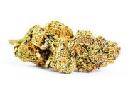 Flower 1g - Tahiti Lime at Curaleaf AZ Youngtown Flower 1g - Tahiti Lime at Curaleaf AZ Youngtown