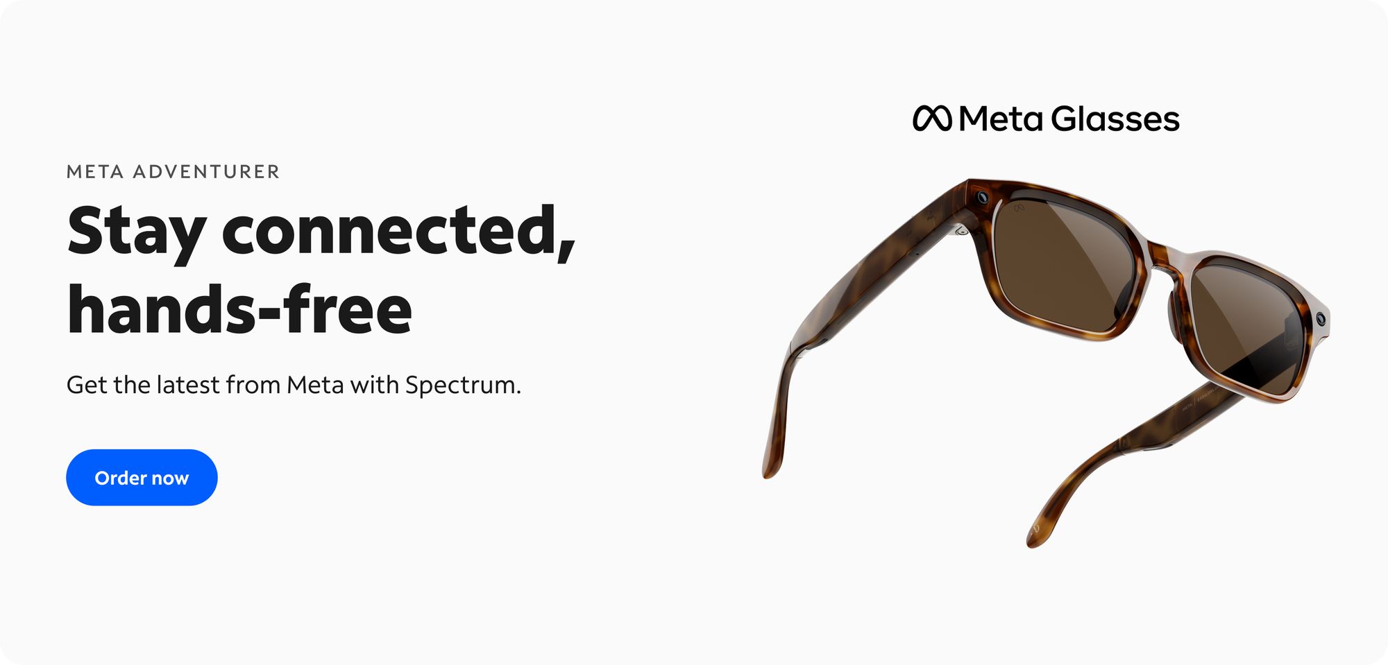 Meta Glasses NPI