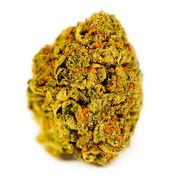 Wedding Pie | 3.5g | Mid Tier at Curaleaf AZ Gilbert Wedding Pie | 3.5g | Mid Tier at Curaleaf AZ Gilbert