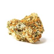 Flower 3.5g | Forest Funk at Curaleaf AZ Central Flower 3.5g | Forest Funk at Curaleaf AZ Central