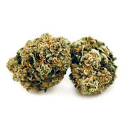 Value Grape Ox 1oz In. 25.5% at Curaleaf Maine Value Grape Ox 1oz In. 25.5% at Curaleaf Maine